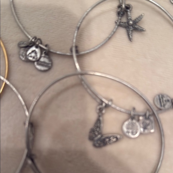 Alex and Ani Silver and Gold Charm Bracelets - Picture 4 of 8